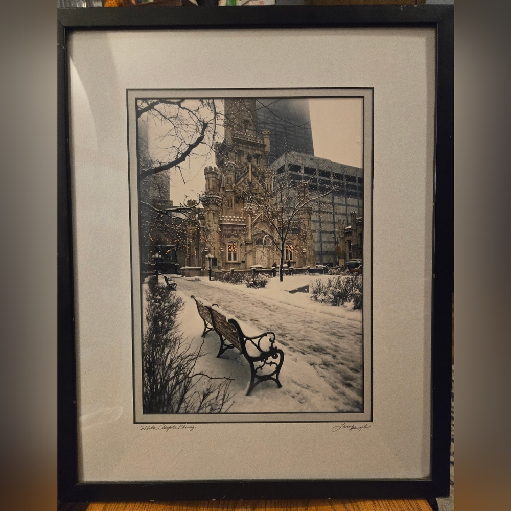 Laurel Spingola Digital Photograph Winter Respite Chicago Framed Water tower